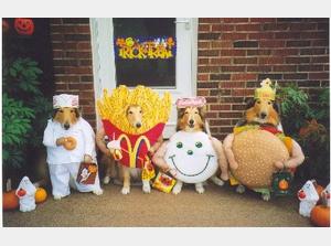 Happy Halloween - Dog Costumes
